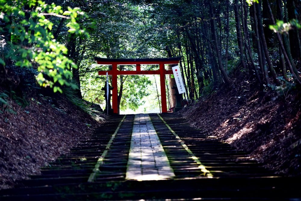 ⛩️ 기리시마 봉우리 신사 (키리시마미네 진자) 이미지 9